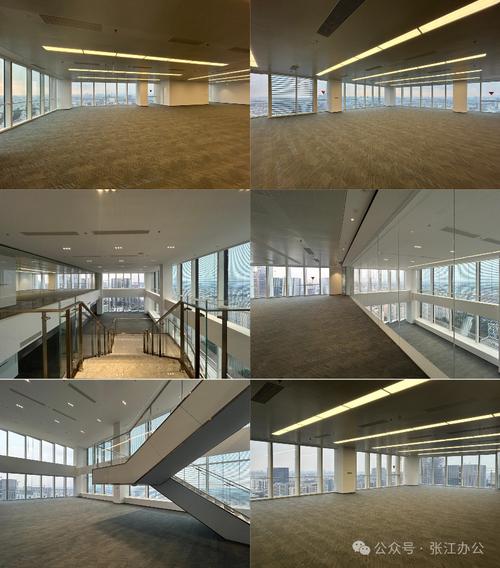 張江高科集鼎天地 上海集成電路設計產(chǎn)業(yè)園引領芯潮澎湃與軟件開發(fā)新未來